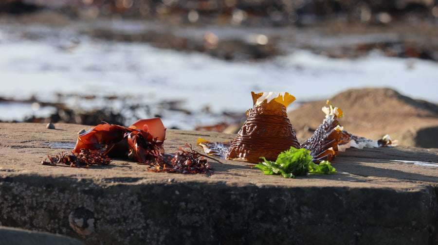 Vitamins in Seaweeds