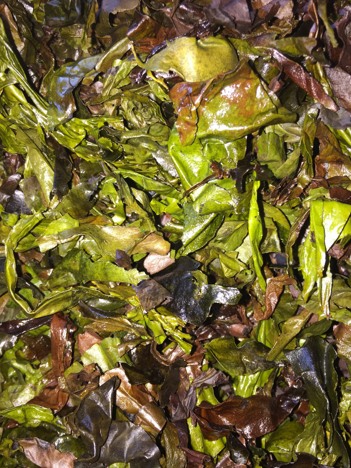 Wild Irish Sea Veg Dillisk Dulse Crisps Recipe Organic Irish Seaweed
