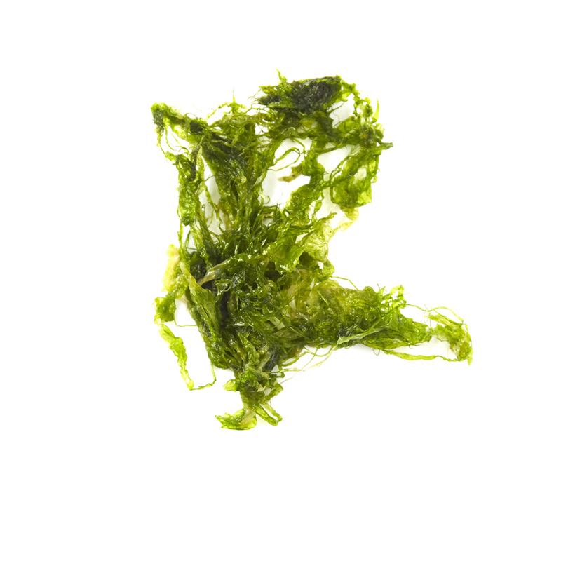 Atlantic Spirulina