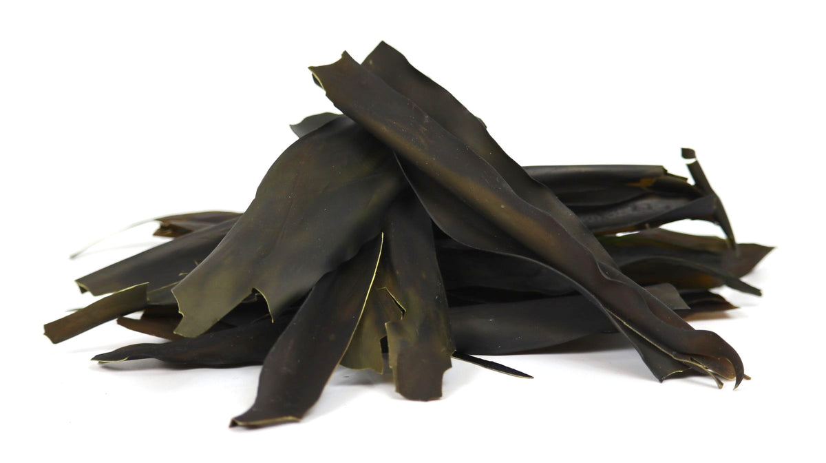 Kombu Kelp