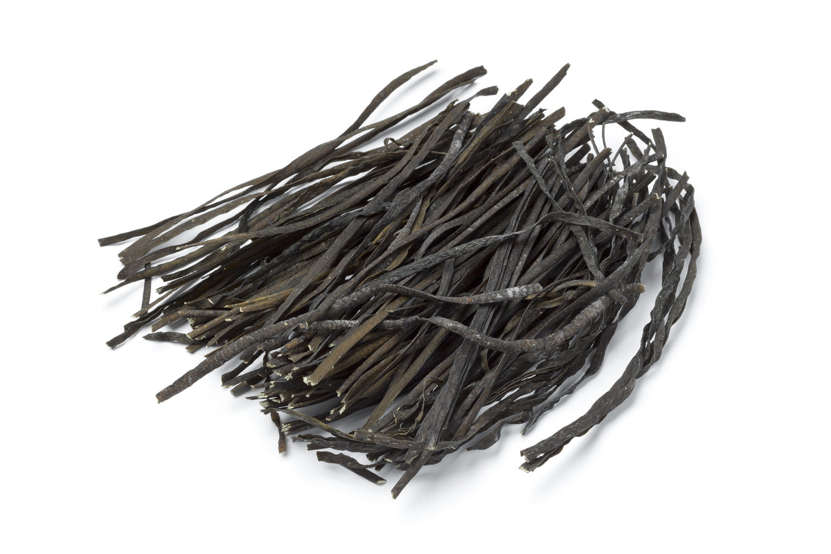 Sea Spaghetti