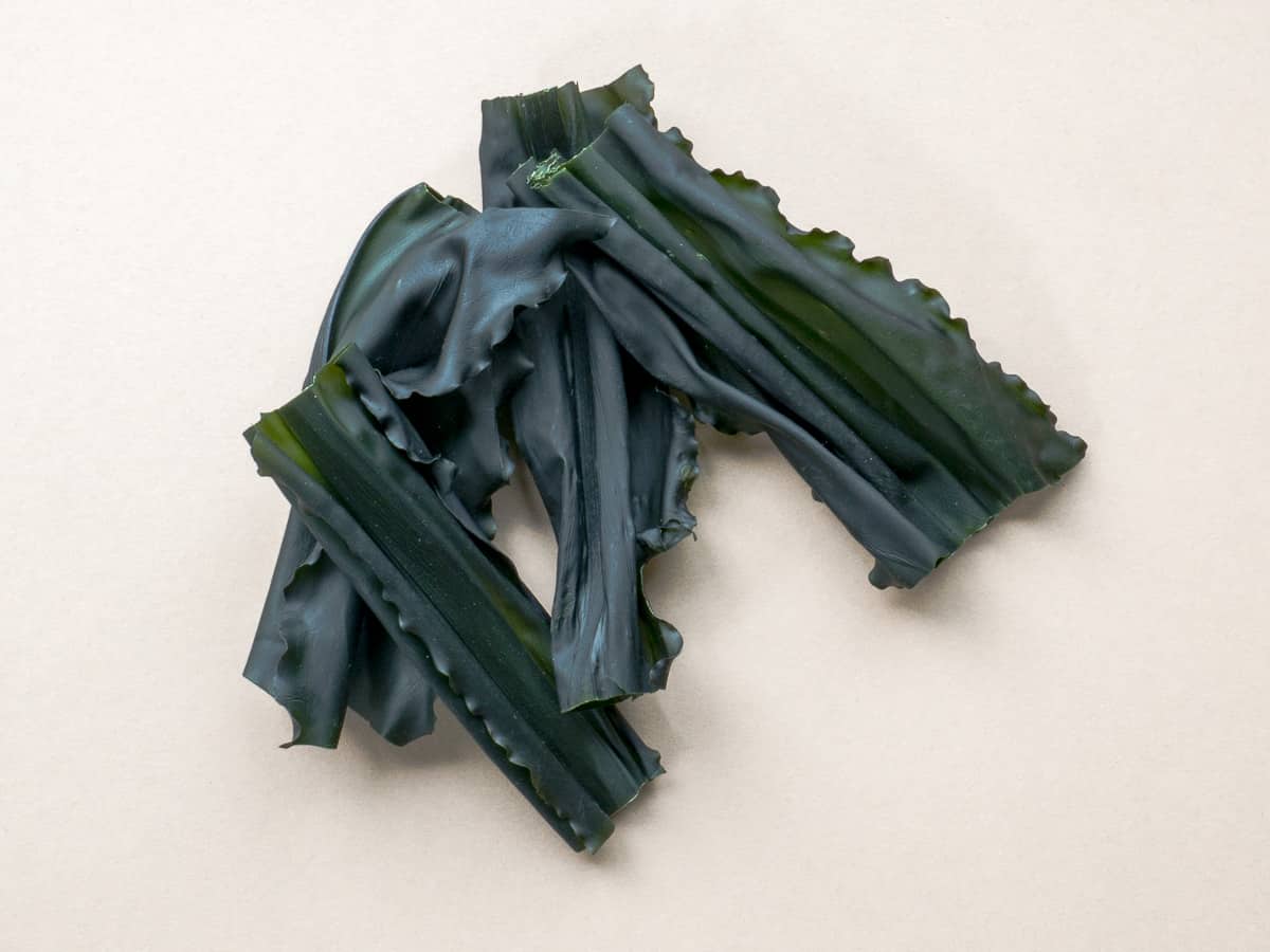 Atlantic Wakame