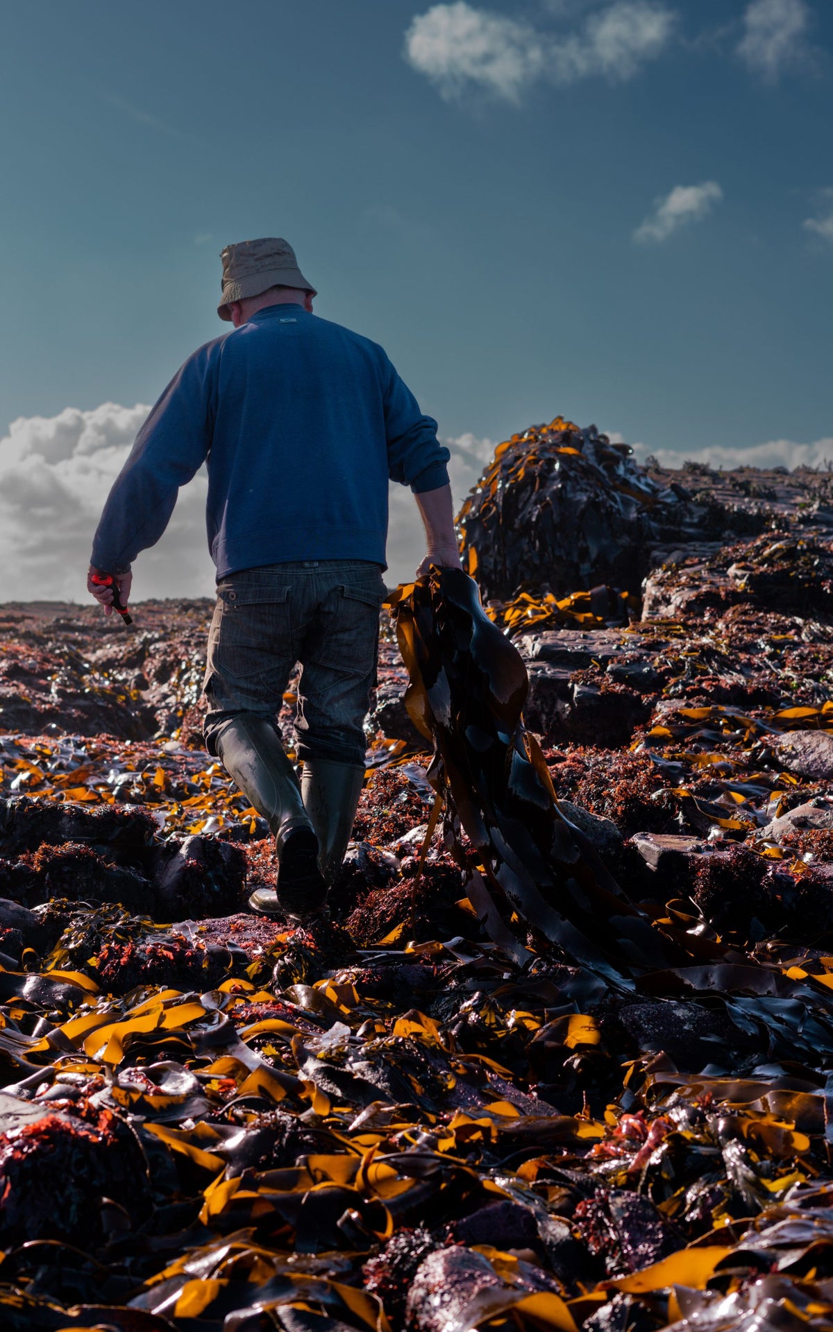 Seamoss & Bladderwrack Capsules